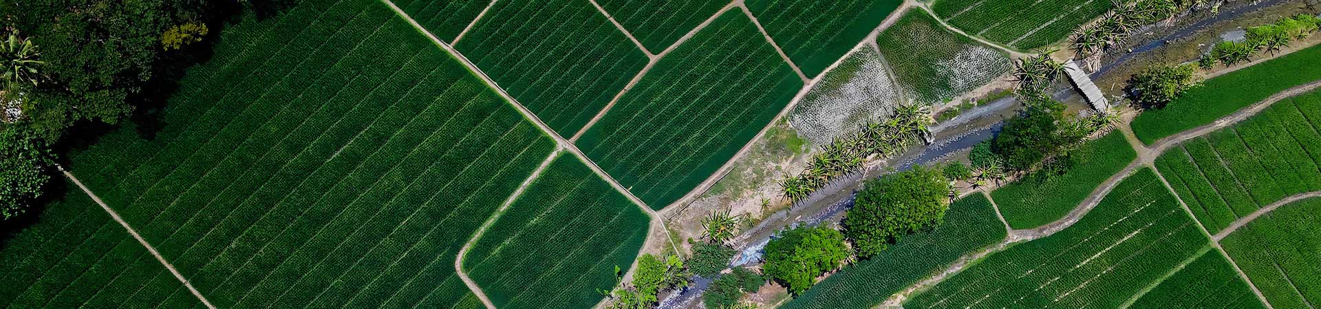 三牛手机版-三牛wap改版上线，精彩钜献